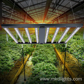 600 Watt 8bar Hemp LED Grow Lights